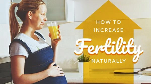 How to Increase Fertility Naturally