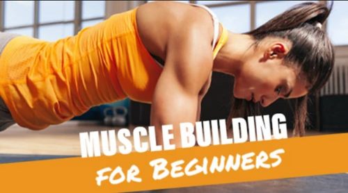 Muscle Building Muscle Building for Beginners