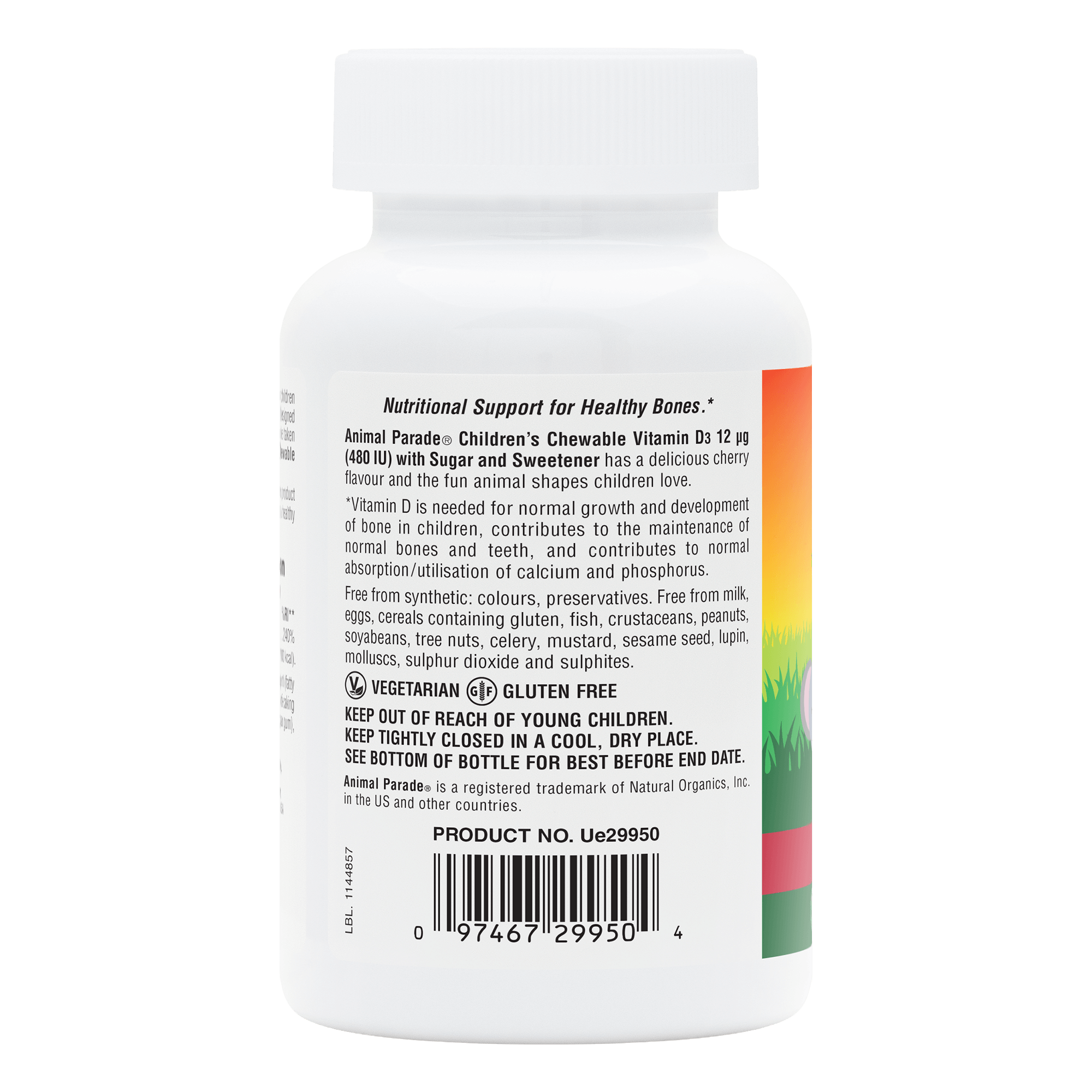 Animal Parade® Vitamin D3 480 IU Children's Chewables