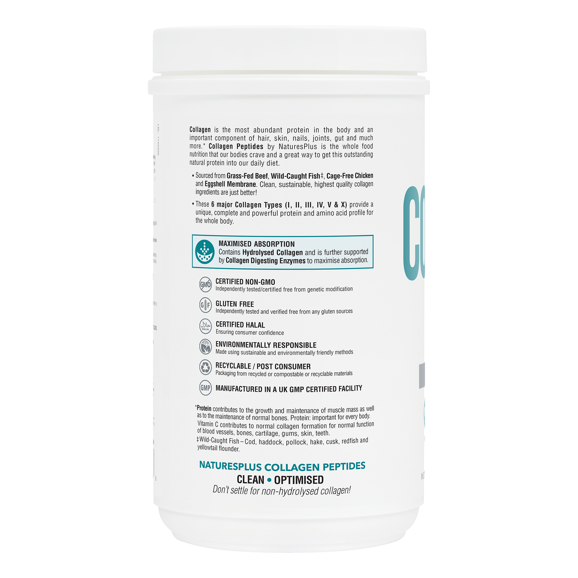 Collagen Peptides