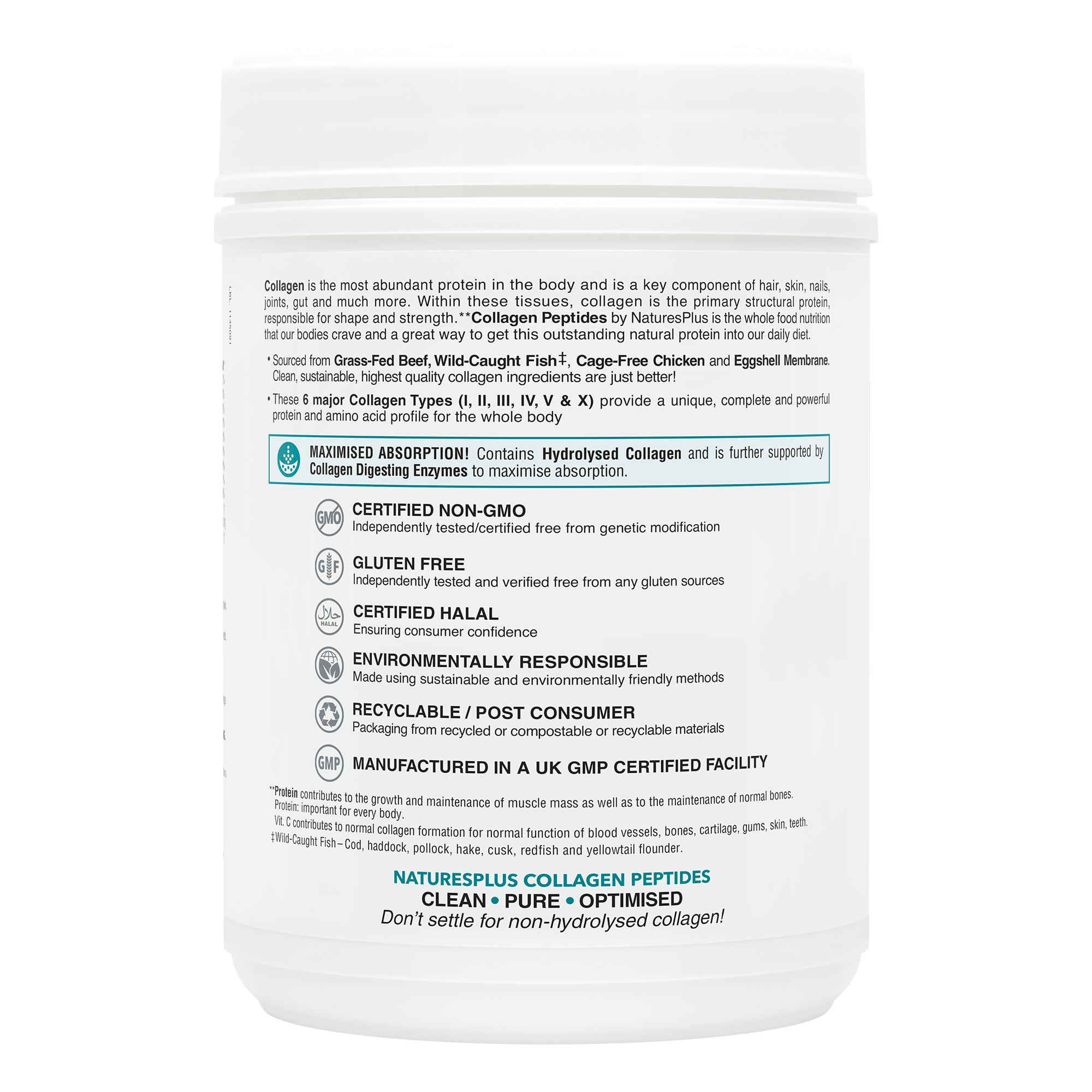 Collagen Peptides
